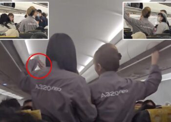 Aged passenger slaps flight attendant in stunning footage
