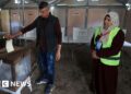 Palestinians in West Financial institution and a few in Gaza vote in native elections
