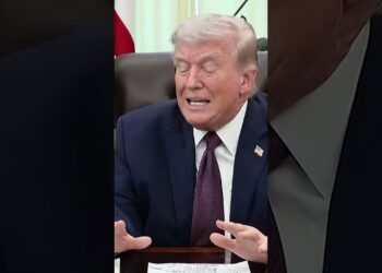 “IT WAS ABOUT SLAVES”: Trump to Attend Supreme Courtroom Listening to on Birthright Citizenship | AC1C