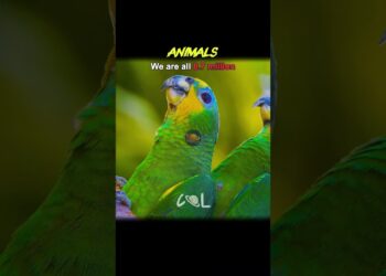 Earth vs Milky method Inhabitants comperision #spacex #inhabitants #explorer #comparability