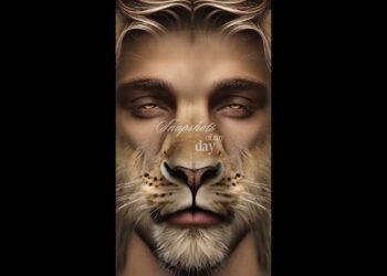 “JD Vance Meme” #jdvance  #trump #doge #darkmaga #gothicmaga #shorts #aesthetic #letgo #bed room