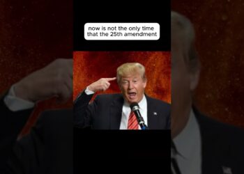 The twenty fifth Modification: Epstein & Bannon's chat #comedy #shortsyoutube #25thamendment #trump