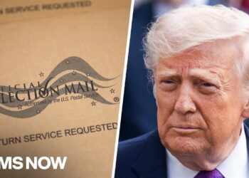 ‘Silencing his personal supporters!’: Nevada official says Trump’s mail-in voting order might backfire