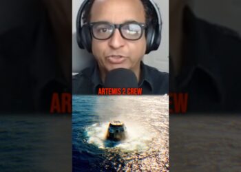 Elon's 60-Submit Rampage: Tesla's Self-Driving Win, SpaceX Splashdown & Grok's Cat Knowledge