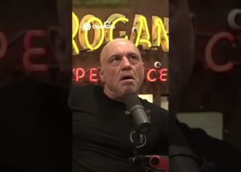 Joe Rogan + Elon Musk Podcast clip #joerogan #elonmusk #elonmuskinsights #fruad #politics #viral