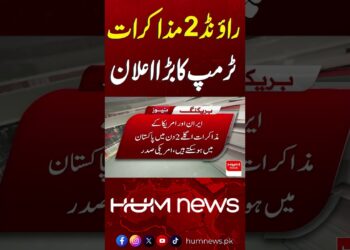 Large Assertion by Trump on Spherical 2 Negotiations | Hum Information