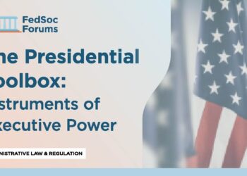 The Presidential Toolbox: Devices of Govt Energy