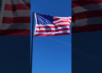 USA #maga #shorts #usa