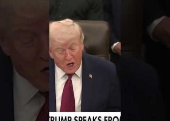 Trump Orders FDA to Quick-Observe Psychedelic Therapies