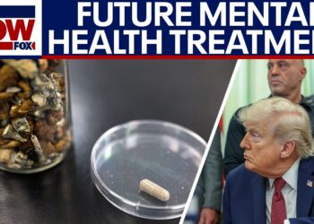 Trump's psychedelics government order might overhaul psychological well being remedy