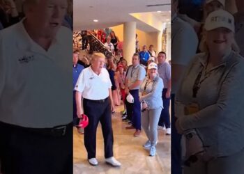 USA President #maga #trump #shorts