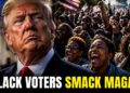 Virginia Voters Reject MAGA Disinformation. Black Voters Confirmed Up and Flipped the Map