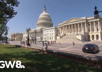 Lawmakers push again on Trump govt order on voting by mail in elections