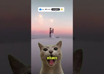 SUDAFRICA SE SALIO DE CONTROL #ElonMusk #Starlink #Sudafrica