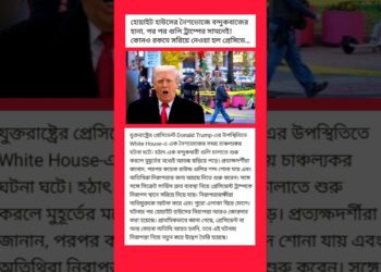 Donald Trump Information #shorts #donaldtrumpnews #viralnews