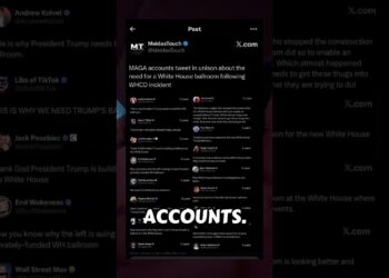 This was a false flag assault #trump #maga
