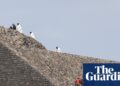 Canadian lady killed after gunman opens fireplace at Mexico’s Teotihuacán pyramids | Mexico