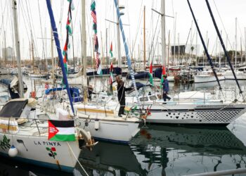 Historical past of flotilla campaigns to finish Israel’s siege of Gaza | Gaza Information