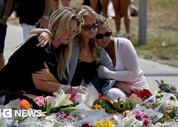 Bondi Seashore taking pictures: Royal fee interim report says gun reform needs to be prioritised – BBC