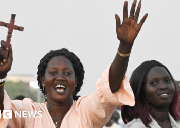 Pope prioritises world's fastest-growing Catholic area in main Africa tour – BBC