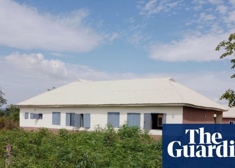 Gunmen kill at the very least 29 at soccer pitch in north-east Nigeria, governor says | Nigeria