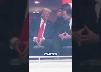 Lip reader reveals what was stated between Trump and Elon Musk