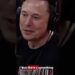 Joe Rogan Tells Elon Musk Why the Tesla Mannequin S Is Insane