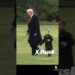 Trump Takes Elon Musk’s Son ‘X’ on Marine One – Web Erupts!