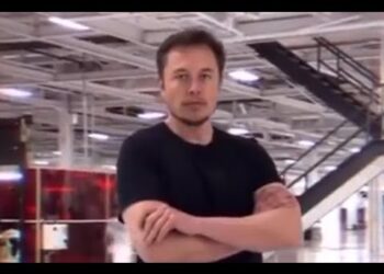 THIS IS ELON MUSK MEME (Lengthy Model)