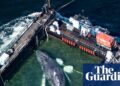Timmy the whale rescue try begins off coast of Germany – in photos – The Guardian