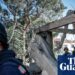 Israel escalates assaults on medics in Lebanon with lethal ‘quadruple faucet’ | Lebanon