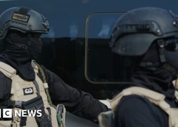 Nigeria: Civilians feared useless after air strike at Borno market – BBC