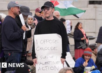 Huge Assault frontman arrested at Palestine protest – BBC