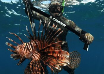 A brand new VC fund for biodiversity thinks these startups can rating massive monetary — and environmental — wins