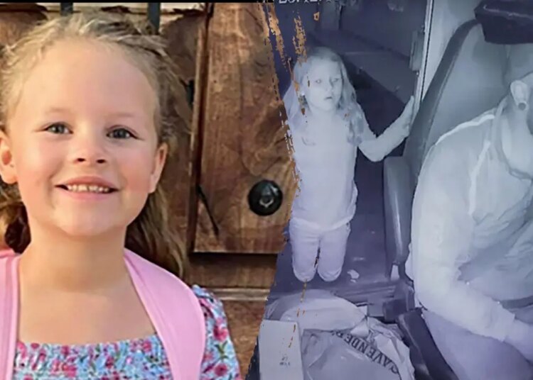 FedEx driver searched digital camera information after Athena Strand was killed: knowledgeable