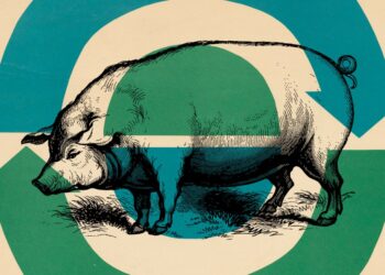 The perfect factor you are able to do for Earth Day 2026: Eat much less meat and dairy, extra plant-based meals