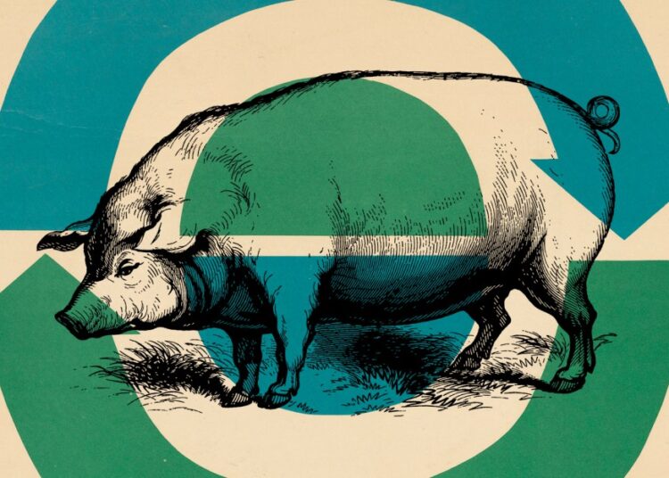 The perfect factor you are able to do for Earth Day 2026: Eat much less meat and dairy, extra plant-based meals