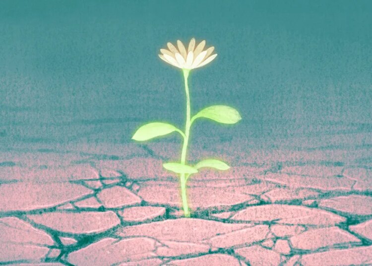 Why you have to be hopeful Why you have to be hopeful