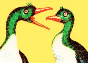 What to say to members of the family who wish to argue about politics