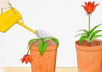 How you can truly ask for assist once you really feel overwhelmed