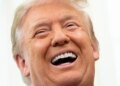 White Home Correspondents’ Dinner: Donald Trump is not any laughing matter
