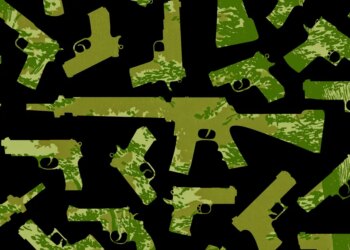 Why state wildlife businesses need Individuals to purchase extra weapons and ammo