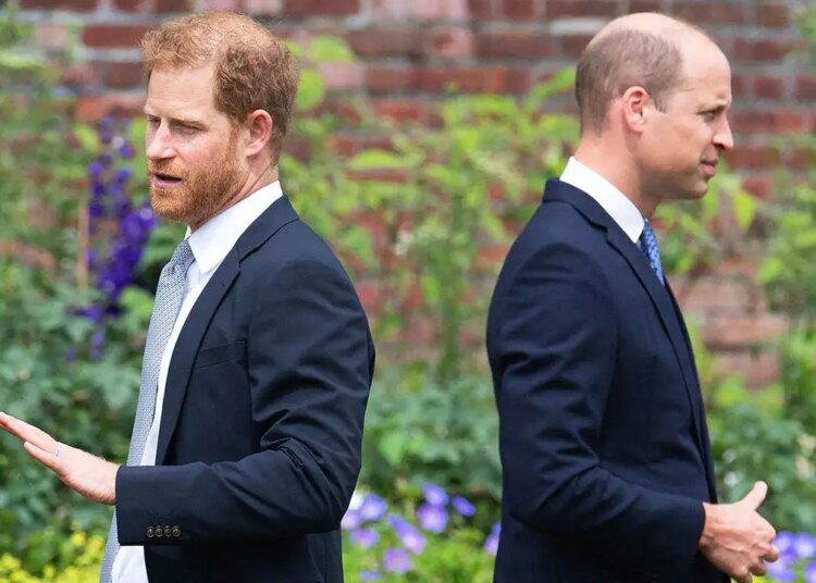 Prince Harry’s makes an attempt to succeed in Prince William have failed, royal consultants declare