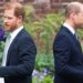 Prince Harry’s makes an attempt to succeed in Prince William have failed, royal consultants declare