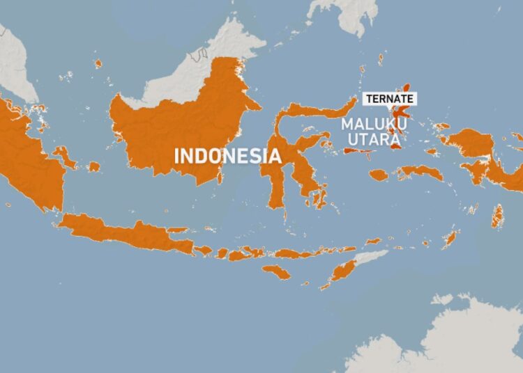 Magnitude 7.4 quake hits off Indonesia’s Ternate, tsunami warning triggered | Earthquakes Information