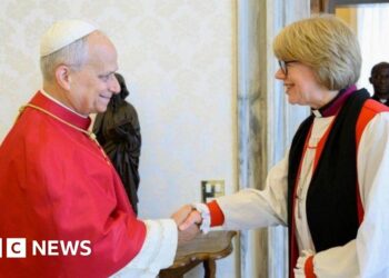 Archbishop praises Pope's anti-war feedback throughout Vatican go to – BBC