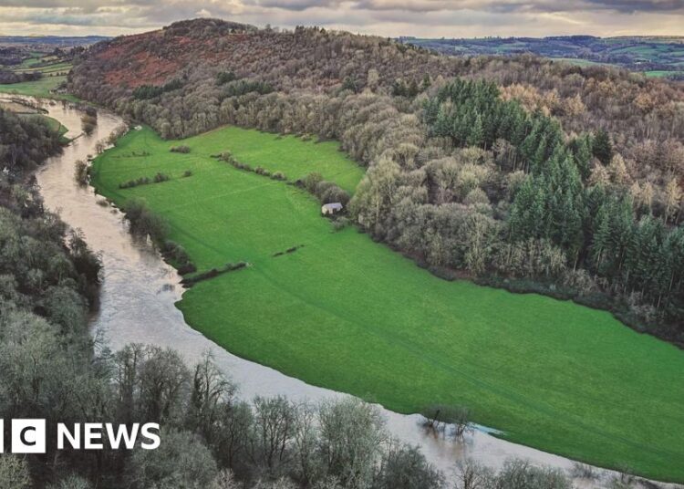 UK's largest ever environmental air pollution declare reaches Excessive Court docket – BBC