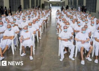 Mass trial for 486 alleged MS-13 gang leaders begins in El Salvador – BBC