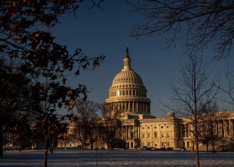 What are professional forma classes, and why do they matter for the DHS shutdown