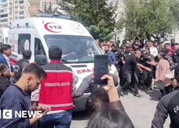 4 killed in second Turkish faculty taking pictures in two days – BBC